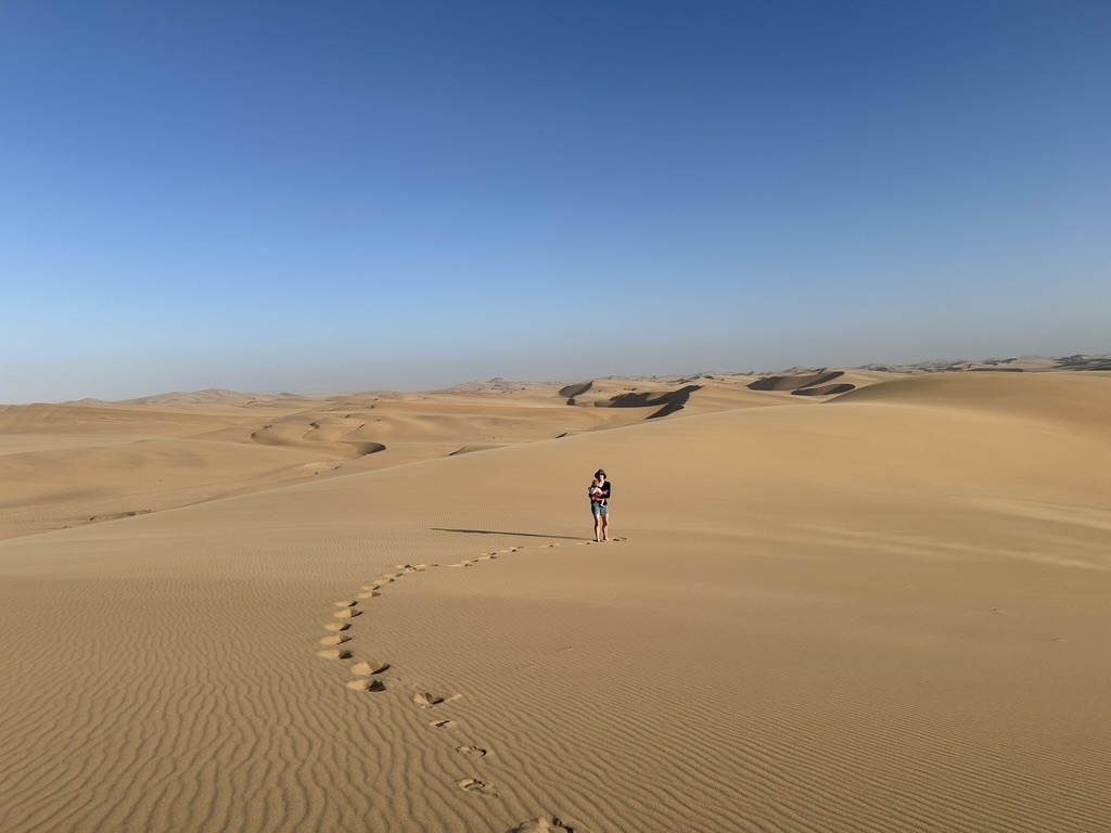 Visit the Namib Desert and special dunes