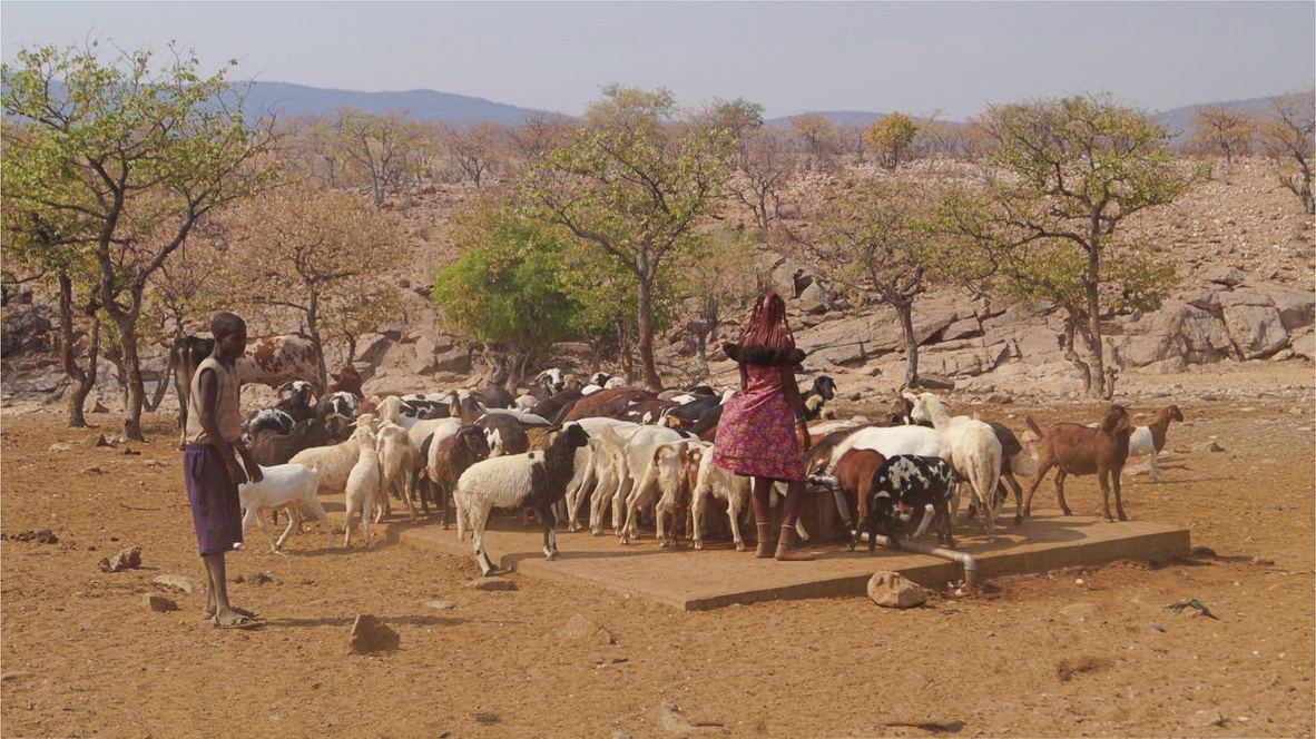 Namibian tribe, the Himba in Kaokoland. 