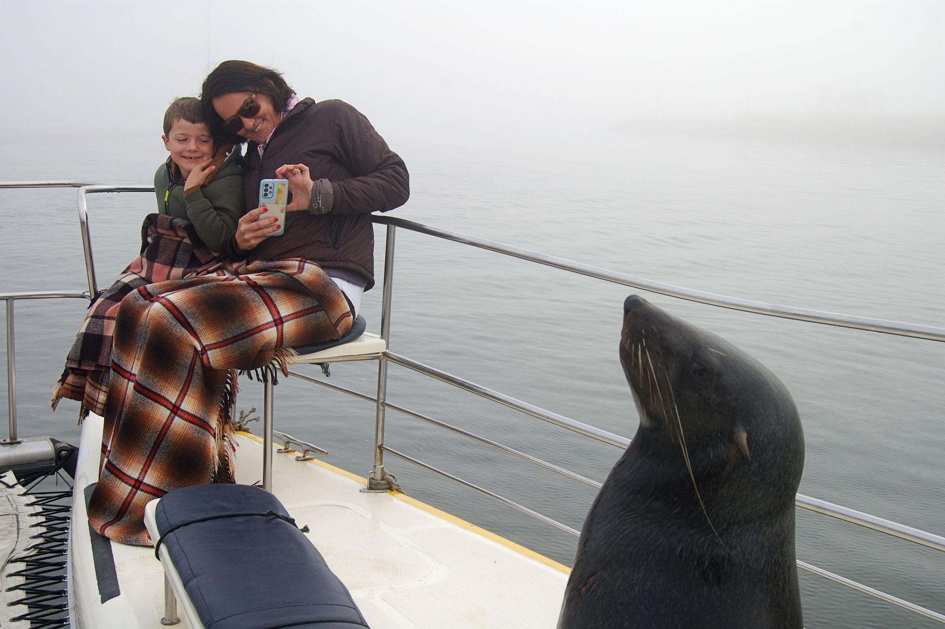 Namibian tours on sea. 